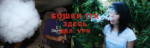 шишки Бронницы