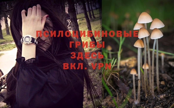 прущая мука Бугульма
