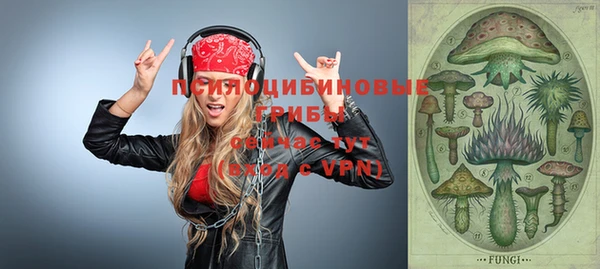 шишки Бронницы
