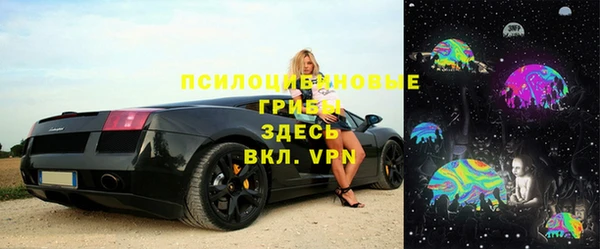 шишки Бронницы